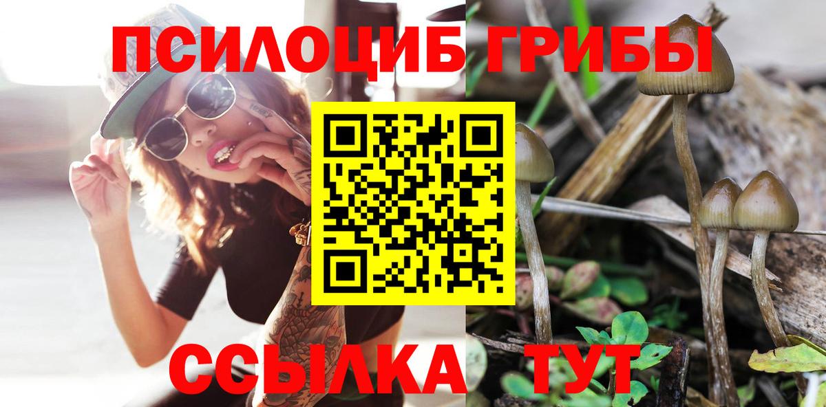 Псилоцибиновые грибы прущие грибы  Вход с VPN  Псилоцибиновые грибы мухоморы  Кувандык 