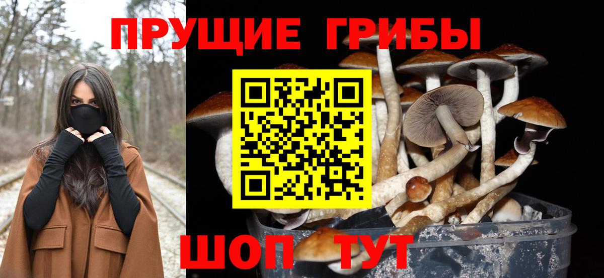 Галлюциногенные грибы MAGIC MUSHROOMS Кувандык