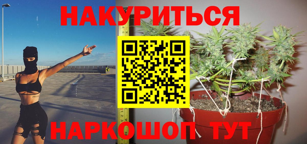 МАРИХУАНА тримм  Вход с VPN  Каннабис Bruce Banner  Кувандык 